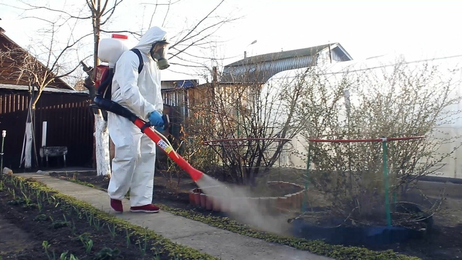 ФОТО Уничтожение муравьёв в Кировском