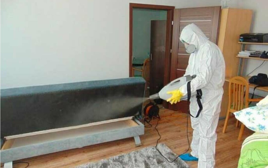 ФОТО Уничтожение блох в Кировском