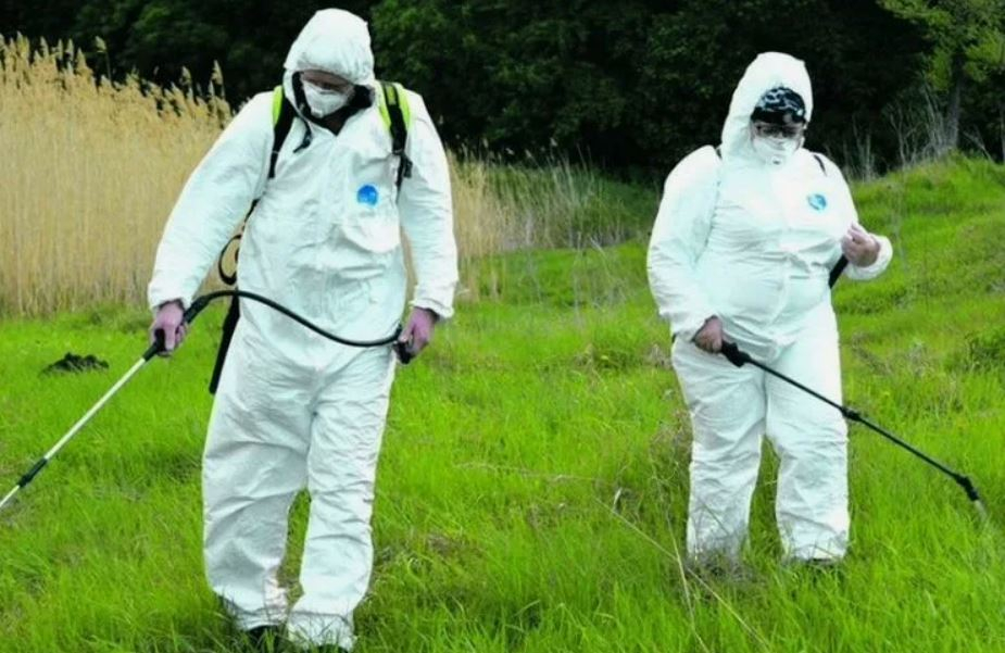 ФОТО Обработка от клещей в Кировском