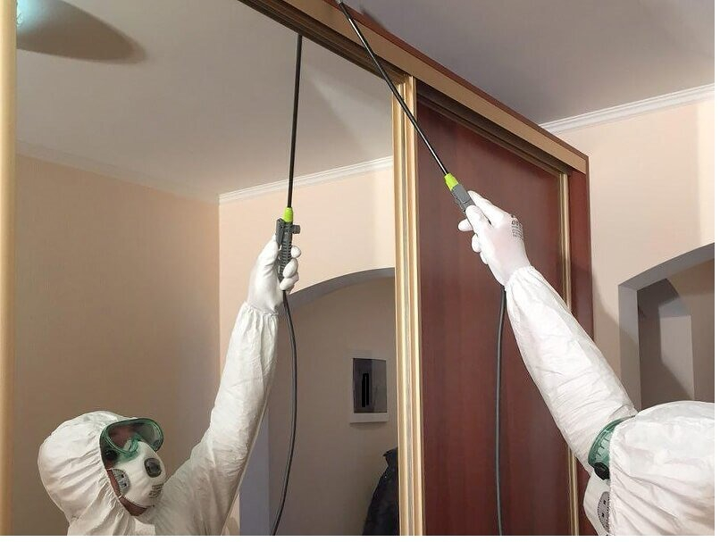 ФОТО Обработка от моли в Кировском