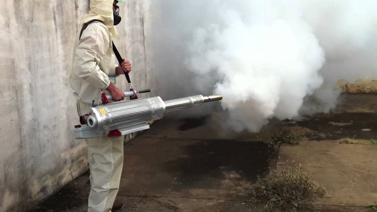 ФОТО Уничтожение мух в Кировском