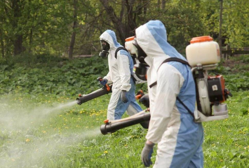 ФОТО Что такое дезинсекция в Кировском? | подробно