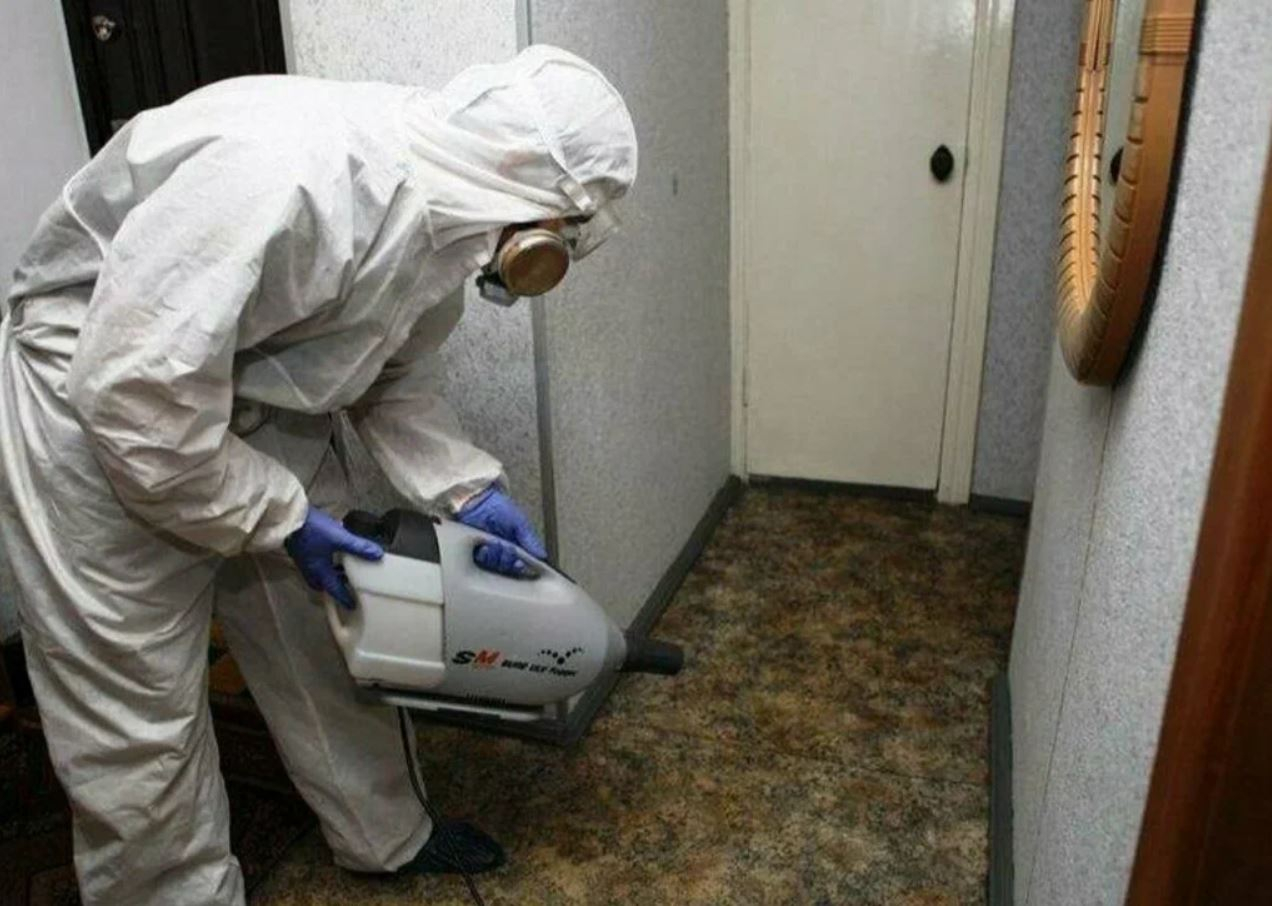 ФОТО Какие методы обработки для дезинсекции существуют в Кировском? | подробно