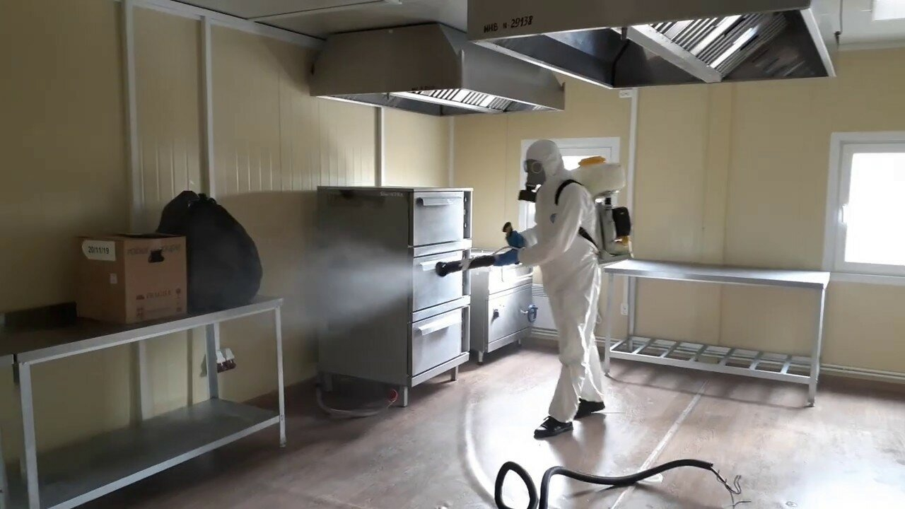 ФОТО Можно ли провести дезинсекцию самостоятельно и какие существуют риски в Кировском? | подробно