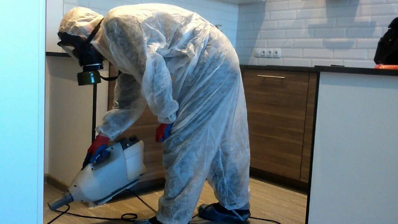 ФОТО Как подготовить домашних животных к обработке от насекомых в Кировском? | подробно