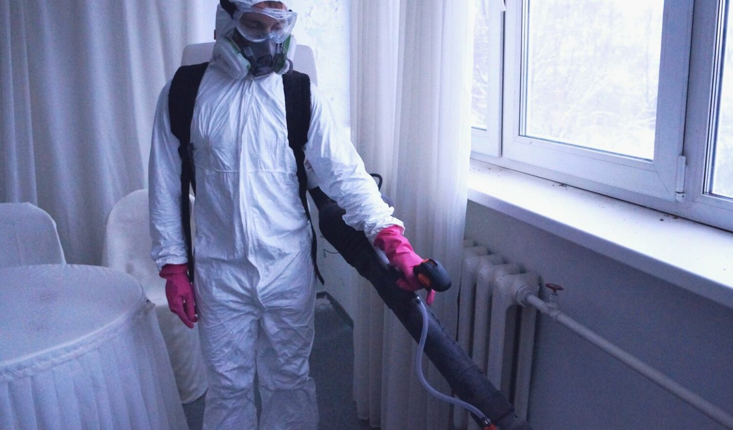 ФОТО Нужно ли выносить растения при дезинсекции в Кировском? | подробно