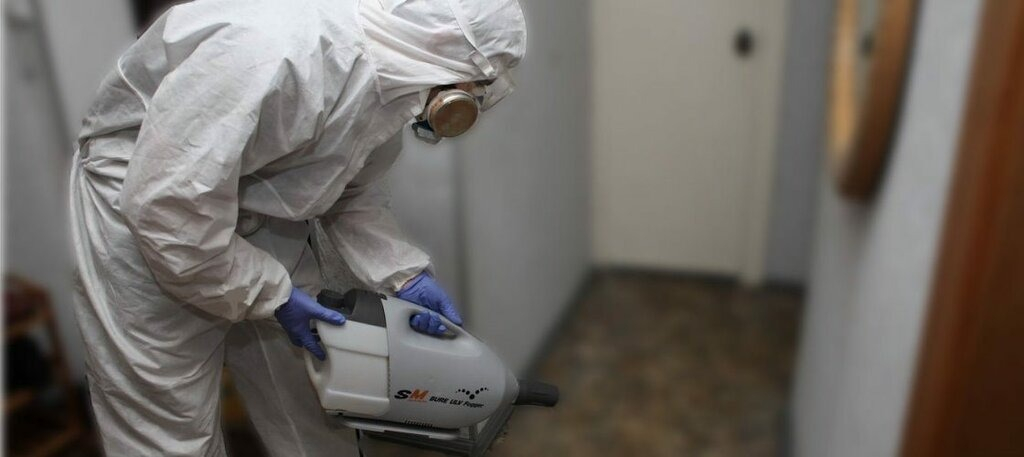 ФОТО Остаются ли следы после обработки квартиры от насекомых в Кировском? | подробно