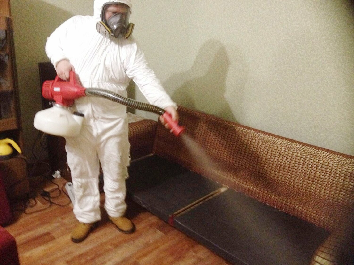 ФОТО Когда можно вернуться в помещение после дезинсекции в Кировском? | подробно