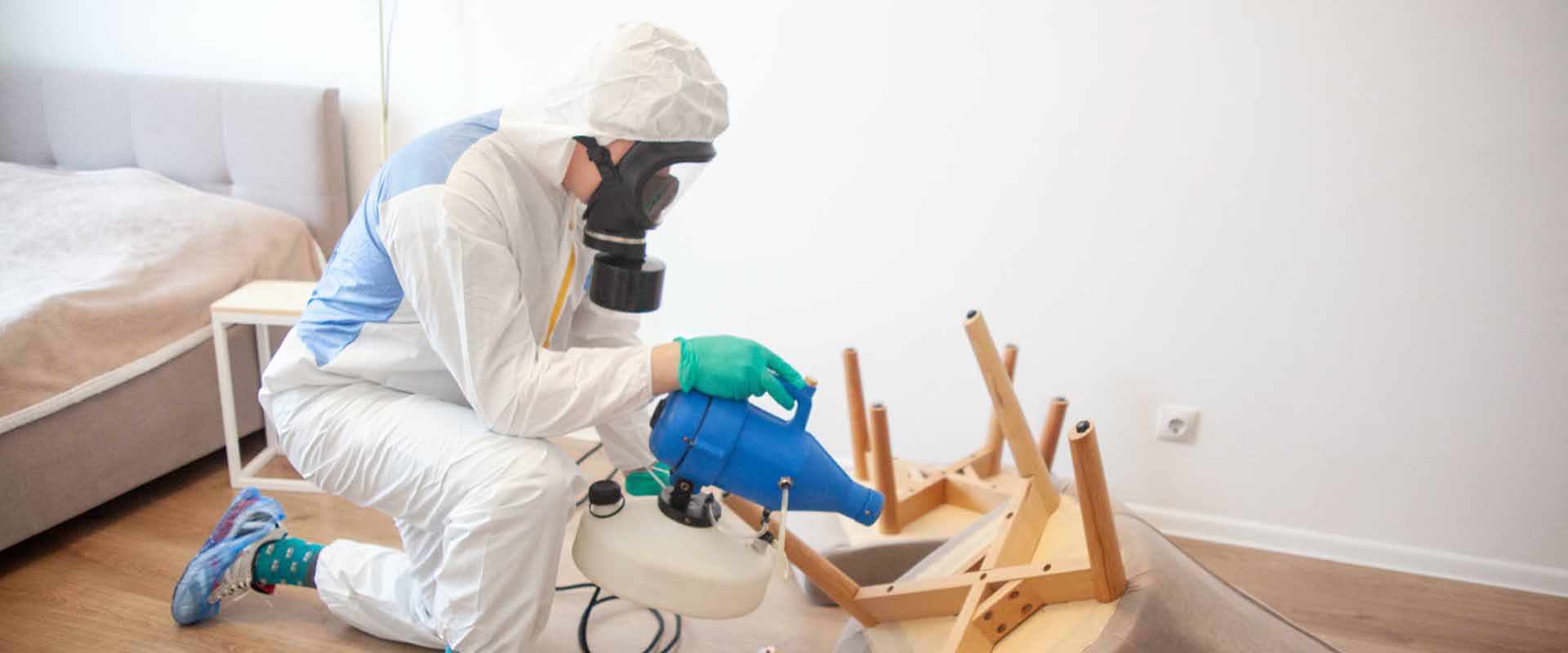 фото: Уничтожение постельных клопов с 1-го раза с гарантией за 30-60 мин. в Кировском без предоплаты